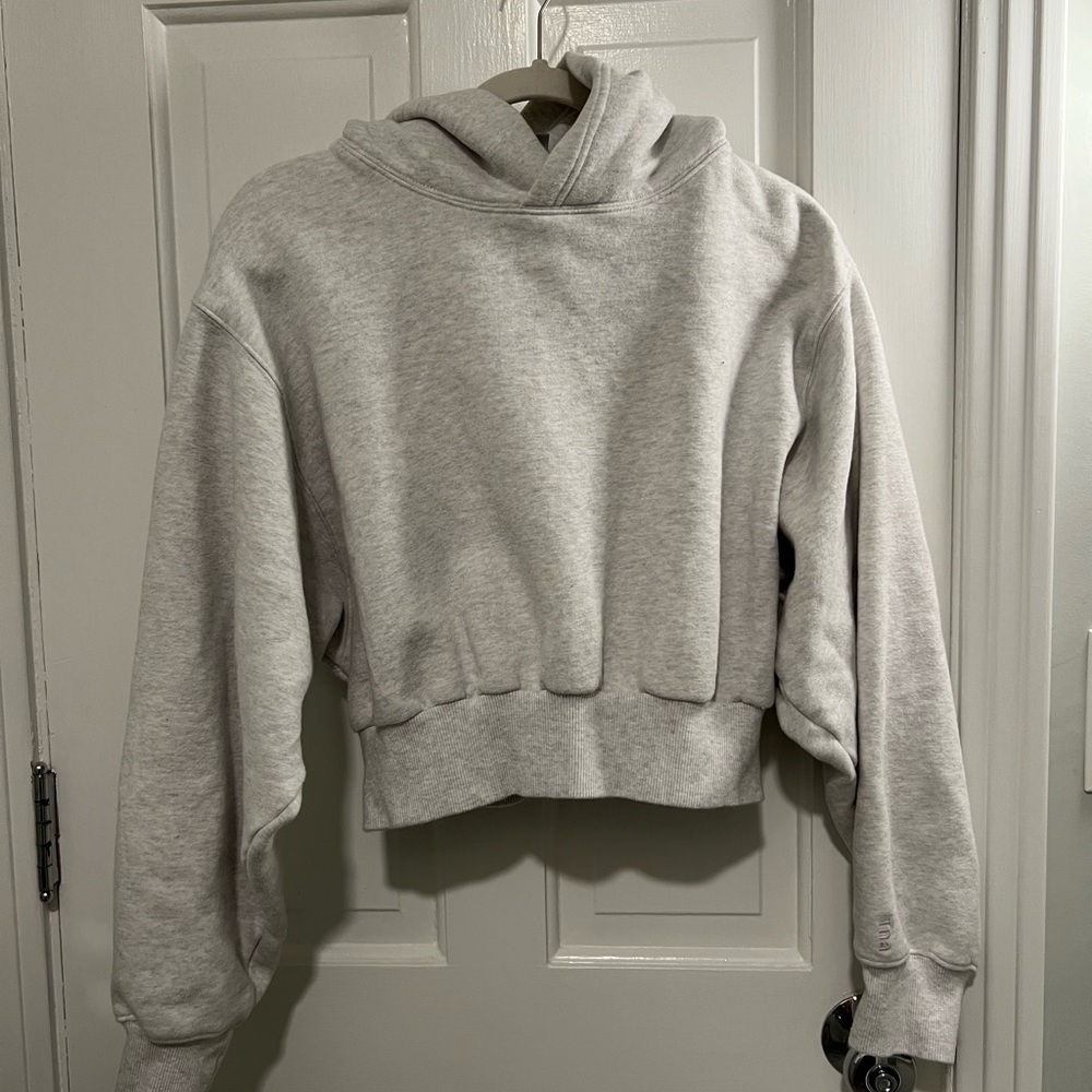 Aritzia shrunken boyfriend hoodie